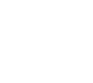 Supreme Solutions Logo